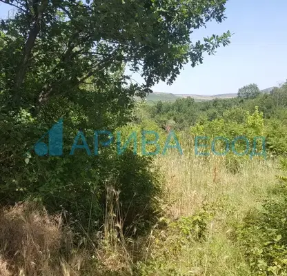 Photo 2 — Plot in Oblast Haskovo, Mineralni Bani