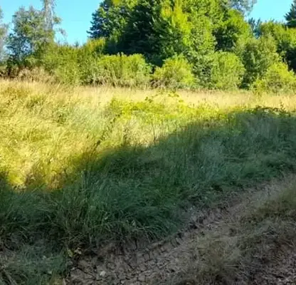Photo 2 — Plot in Oblast Lovech, Ribarica