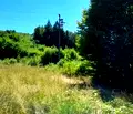 Снимка 5 — Парцел в Ловеч, с. Рибарица