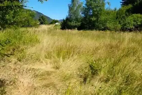 Plot in Oblast Lovech, Ribarica