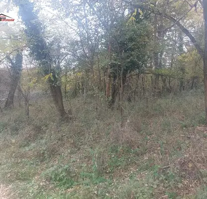 Photo 2 — Plot in Oblast Lovech, Velchevo