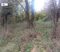 Снимка 3 — Парцел в Ловеч, с. Велчево