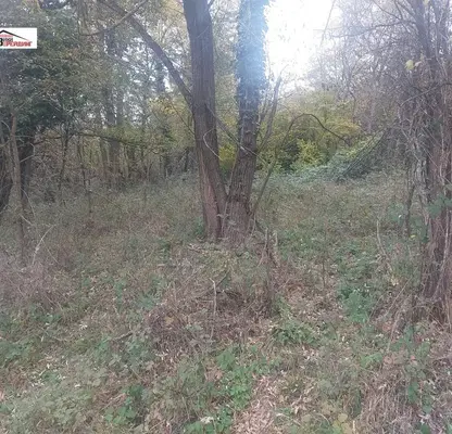 Photo 3 — Plot in Oblast Lovech, Velchevo