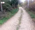 Снимка 5 — Парцел в Ловеч, с. Велчево