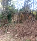 Парцел в Ловеч, с. Велчево