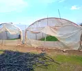 Снимка 3 — Парцел в Пазарджик, с. Братаница