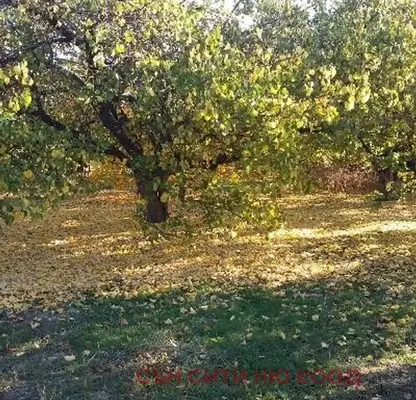 Снимка 5 — Парцел в Пазарджик, с. Лозен