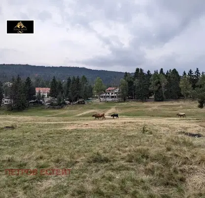 Photo 5 — Plot in Oblast Pazardjik, Yundola