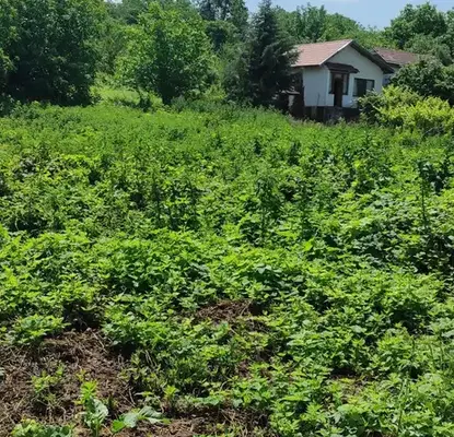 Снимка 4 — Парцел в Плевен, с. Върбица