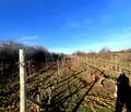 Снимка 2 — Парцел в Пловдив, с. Белащица