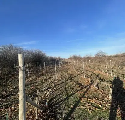 Снимка 2 — Парцел в Пловдив, с. Белащица