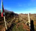 Снимка 3 — Парцел в Пловдив, с. Белащица