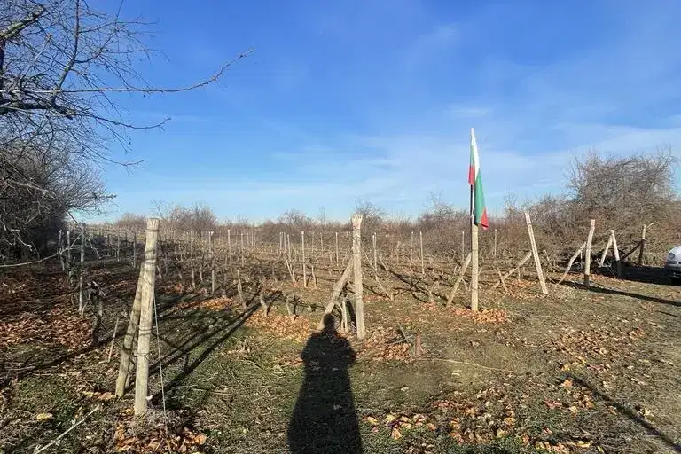 Парцел в Пловдив, с. Белащица