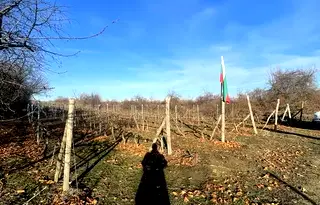 Парцел в Пловдив, с. Белащица