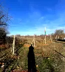 Парцел в Пловдив, с. Белащица