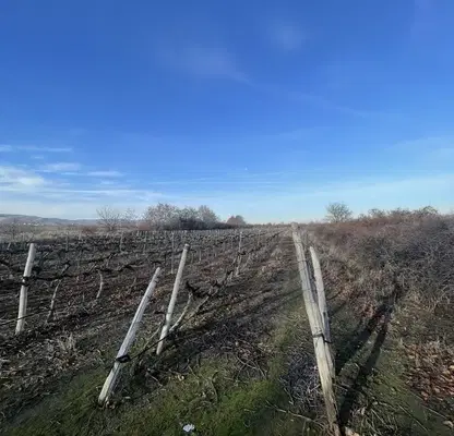 Photo 2 — Plot in Oblast Plovdiv, Belashtica