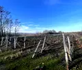 Снимка 3 — Парцел в Пловдив, с. Белащица