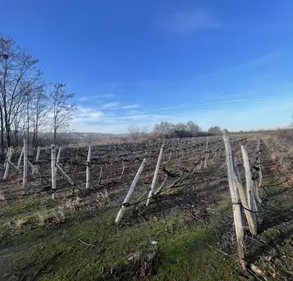 Photo 3 — Plot in Oblast Plovdiv, Belashtica