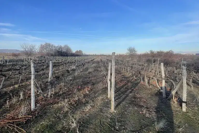 Парцел в Пловдив, с. Белащица