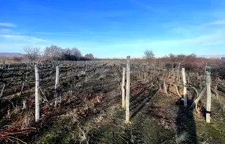 Парцел в Пловдив, с. Белащица