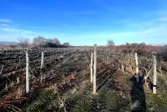 Парцел в Пловдив, с. Белащица