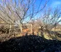 Снимка 2 — Парцел в Пловдив, с. Белащица