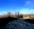 Снимка 4 — Парцел в Пловдив, с. Белащица