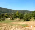 Снимка 4 — Парцел в Пловдив, с. Храбрино