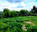 Снимка 2 — Парцел в Разград, с. Пороище