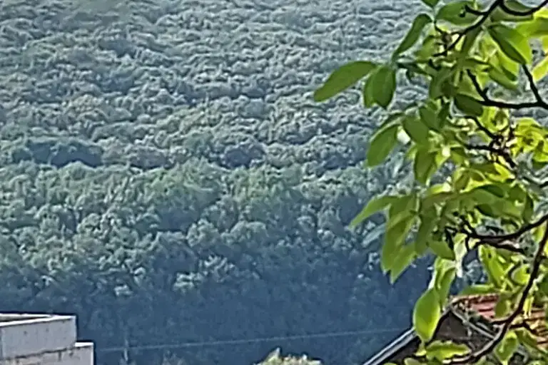 Парцел в Русе, с. Николово