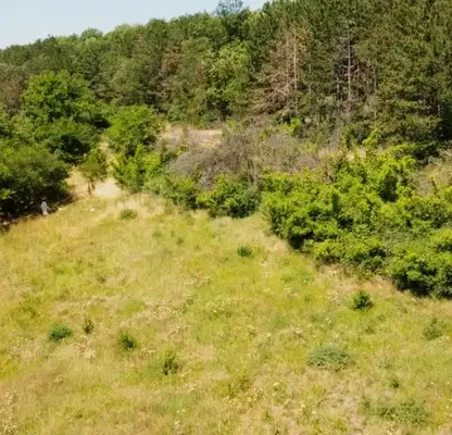 Photo 5 — Plot in Oblast Ruse, Nikolovo