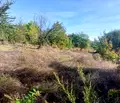 Снимка 2 — Парцел в Русе, с. Пепелина