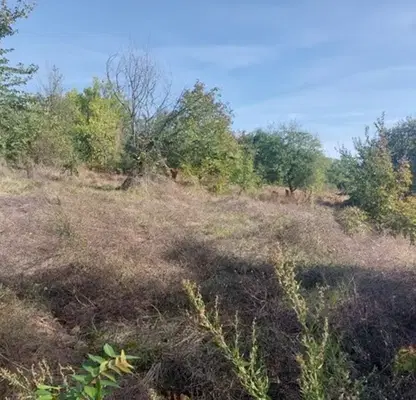 Photo 2 — Plot in Oblast Ruse, Pepelina