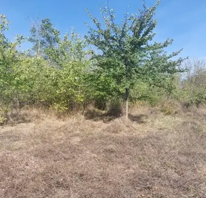 Photo 3 — Plot in Oblast Ruse, Pepelina