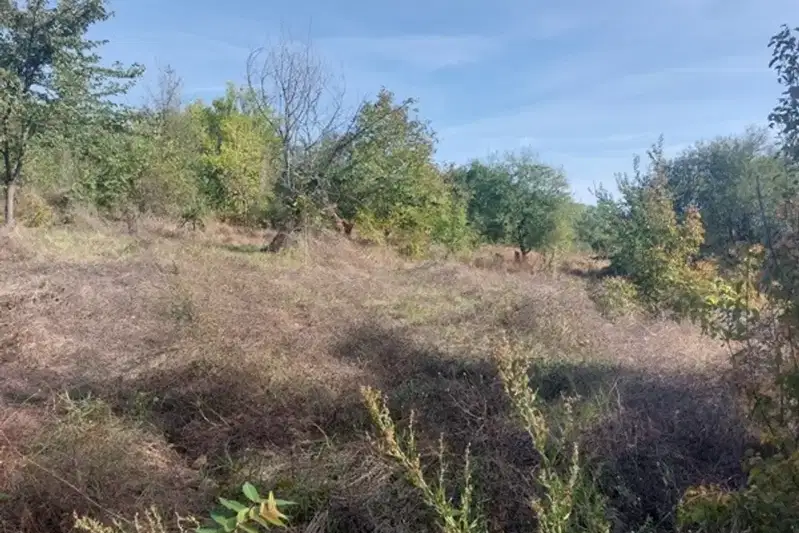 Парцел в Русе, с. Пепелина