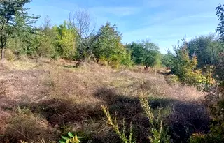 Парцел в Русе, с. Пепелина