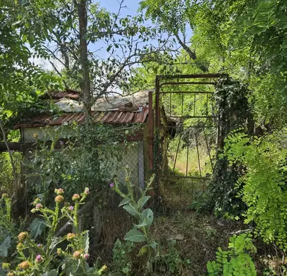 Снимка 4 — Парцел в Русе, с. Пиргово