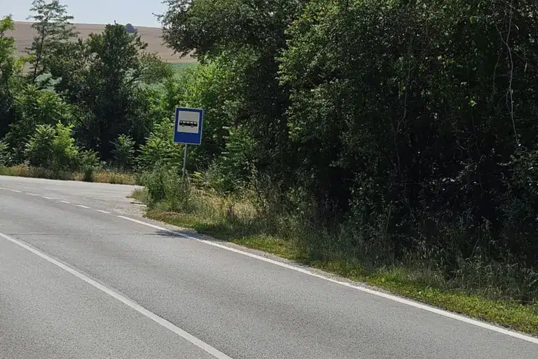 Plot in Oblast Ruse, Pirgovo