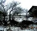 Снимка 2 — Парцел в Смолян, с. Гела