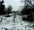 Снимка 5 — Парцел в Смолян, с. Гела