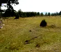 Снимка 4 — Парцел в Смолян, с. Момчиловци