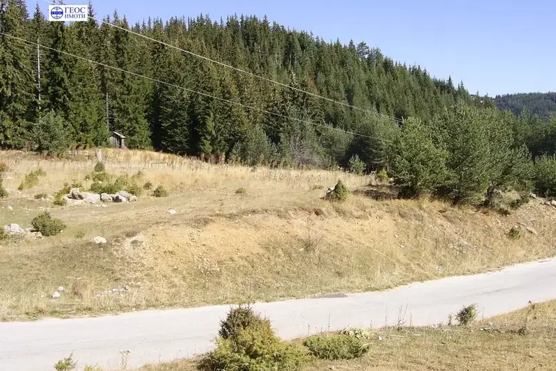 Plot in Oblast Smolyan, Momchilovci