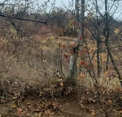 Photo 2 — Plot in област София, Cerovo