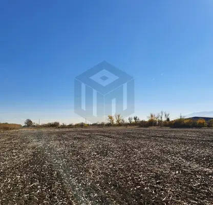 Photo 3 — Plot in област София, Prolesha
