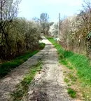 Парцел в София, с. Радуловци
