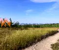 Снимка 4 — Парцел във Варна, Аксаково