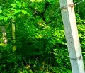 Снимка 3 — Парцел във Варна, к.к. Камчия