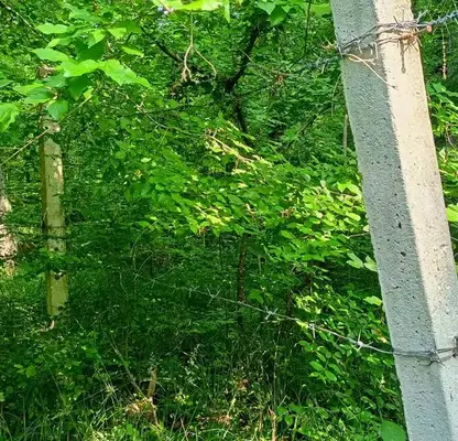 Photo 3 — Plot in Oblast Varna, Kamchiya
