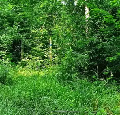 Photo 5 — Plot in Oblast Varna, Kamchiya