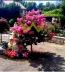 Парцел във Варна, с. Долище